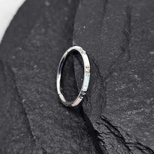 16g Titanium ASTM F136 White Opal Lined Implant Grade Hinged Segment Clicker Septum Helix Piercing Cartilage Daith Hoop Ring