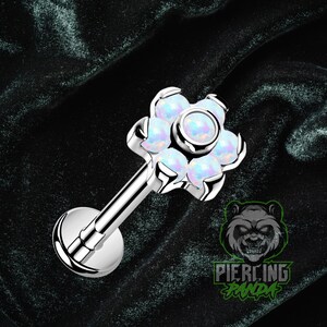 16g Rosca Interna Pedra Opala Branca Aço Cirúrgico 316L Disco Inferior Pequeno Tragus Hélice Concha Cartilagem Brinco Labret Barbell