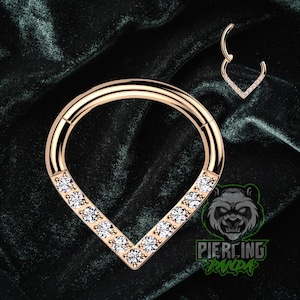 16g Dünne V Implant Grade Spikes Titan Scharnier Rose Gold PVD Segment Septum Helix Piercing Knorpel Daith Hoop Piercing Ring