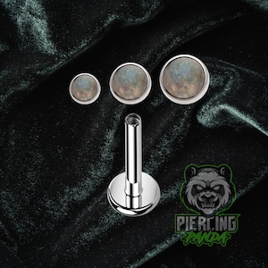 16g Titanium ASTM F136 Grade 23 Labradorite Gemstone Internal Thread Small Bottom Disc Tragus Helix Conch Cartilage Earring Labret Barbell