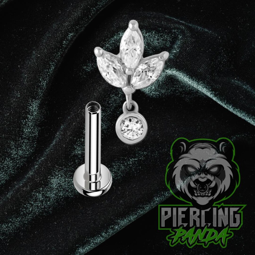 16g Internal Thread Turtle Polished 316L Surgical Steel Small Bottom ...