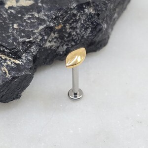16g Titanium ASTM F136 Internal Threads 5.5mm Marquise Slight Dome Gold PVD Medusa Tragus Helix Conch Cartilage Earring Labret Barbell