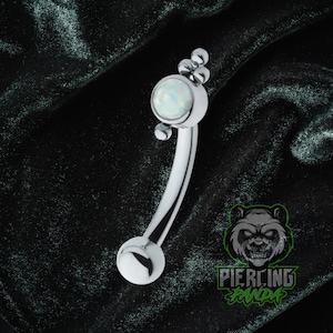16g Titanium ASTM F136 Internal Threads Rook Ashley Eyebrow Ring Piercing Curved Barbell Body Jewelry
