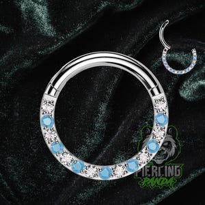 16g Titanium ASTM F136 Turquoise CZ Lined Gems Implant Grade Hinged Segment Septum Helix Piercing Cartilage Daith Hoop Piercing Ring