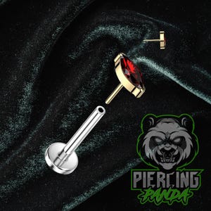 May include: A gold and red marquise-shaped labret stud with a silver post, designed for lip or ear piercings. The stud features a vibrant red gemstone set in a gold bezel. The image also shows a separate gold stud and the logo of Piercing Panda.