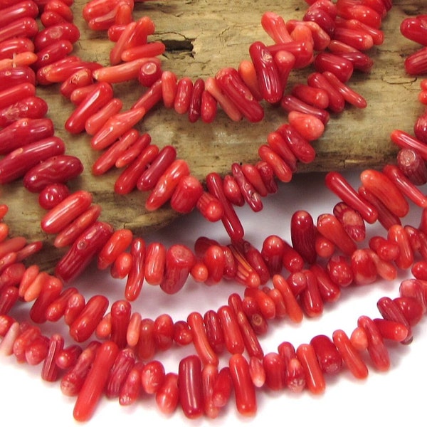 Red Bamboo Coral, 6x3mm-15x5mm cupolini, 15" inch Strand, Bamboo Coral Branches, Beading Supplies, Jewelry Supplies,  Item 1455gsc