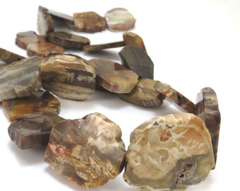 Petrified Wood Slabs, Five (5) Natural Freeform Petrified Wood Flat Slabs, Wood Beads, Wood Slab Beads, Designer Quality, Item 881gss