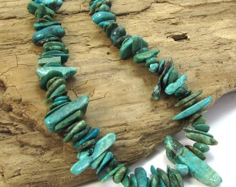 Turquoise Beads, Extra-Large Graduated Hawaiian Chip, 15" inch Strand, Ready to Make a Necklace, Item 1698gst