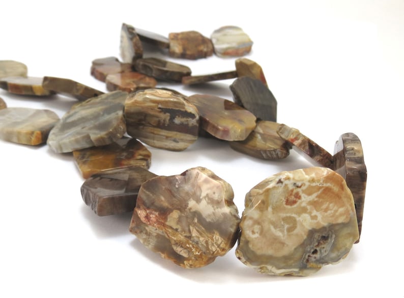 Petrified Wood Slabs, Five 5 Natural Freeform Petrified Wood Flat Slabs, Wood Beads, Wood Slab Beads, Designer Quality, Item 881gss image 1