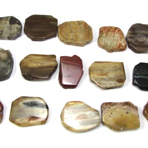 Petrified Wood Slabs, Five 5 Natural Freeform Petrified Wood Flat Slabs, Wood Beads, Wood Slab Beads, Designer Quality, Item 881gss image 10