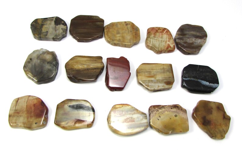 Petrified Wood Slabs, Five 5 Natural Freeform Petrified Wood Flat Slabs, Wood Beads, Wood Slab Beads, Designer Quality, Item 881gss image 10