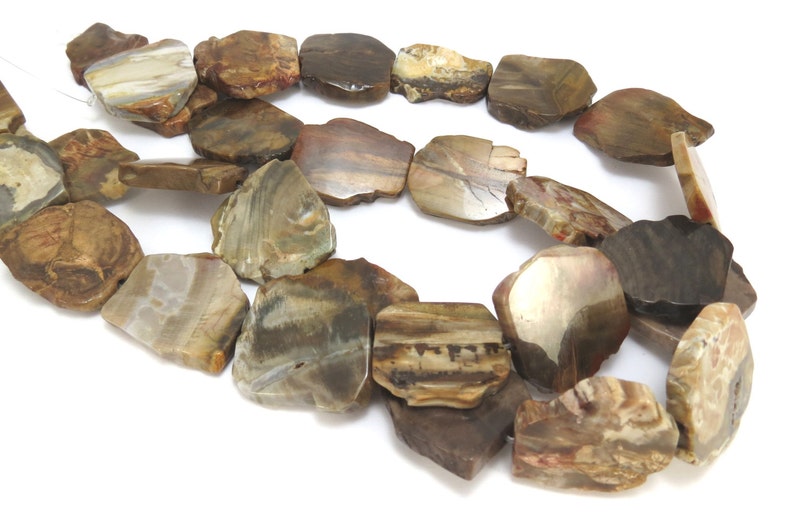 Petrified Wood Slabs, Five 5 Natural Freeform Petrified Wood Flat Slabs, Wood Beads, Wood Slab Beads, Designer Quality, Item 881gss image 3