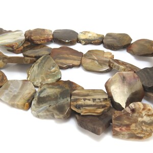 Petrified Wood Slabs, Five 5 Natural Freeform Petrified Wood Flat Slabs, Wood Beads, Wood Slab Beads, Designer Quality, Item 881gss image 5