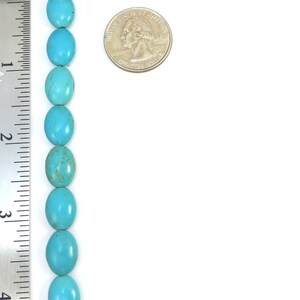 May include: A strand of oval turquoise beads, approximately 1 inch in length, next to a US quarter for size comparison.