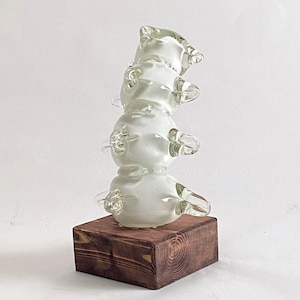 Solid Glass Spine Sculpture, Award,  Neurosurgeon. Gift, Hand Blown Glass Doctor Gift