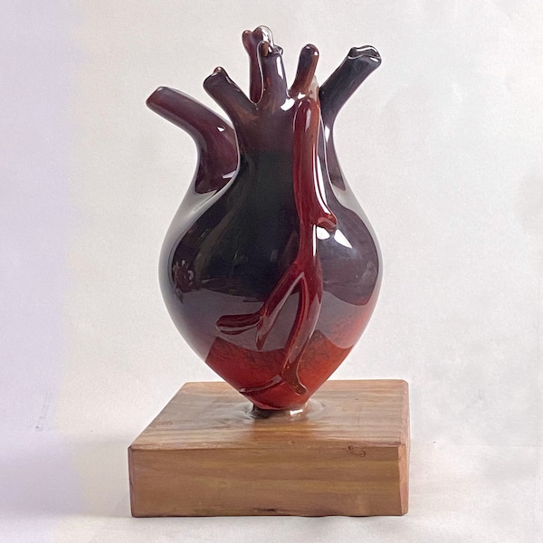Handgeblazen anatomisch glazen hart, cardioloog, dokterscadeau, onderscheiding