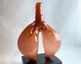 May include: A glass sculpture of a pair of lungs on a black base with a gold plaque that reads "Professor John Gosney APP President 2012-2024".