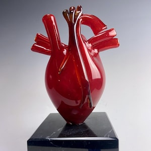 Hand Blown Anatomical Glass Heart, Cardiologist, Doctor Gift, Award