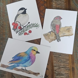 Tarjetas de felicitación en blanco con estampado de aves en acuarela originales - 4x6 con sobres - Individual