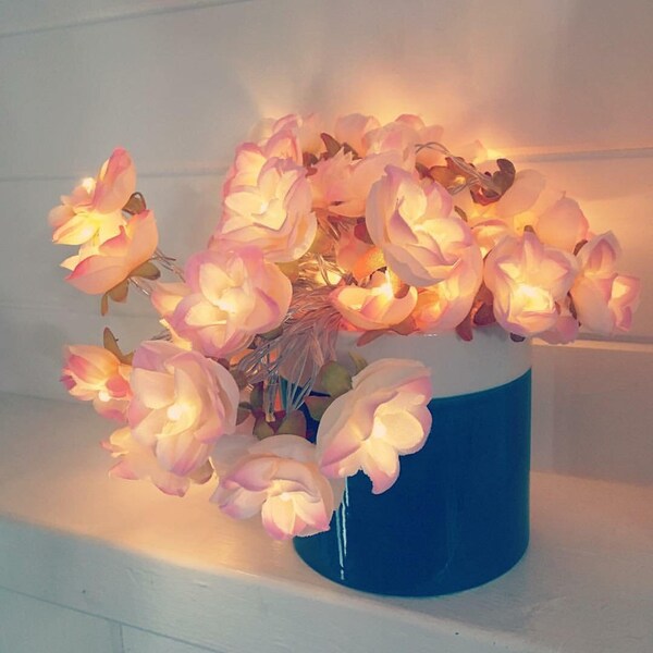 Pale pink blush Rose Flower Fairy string warm white 20 LED Lights vintage wedding bedroom decoration centerpiece gift for her mothers day