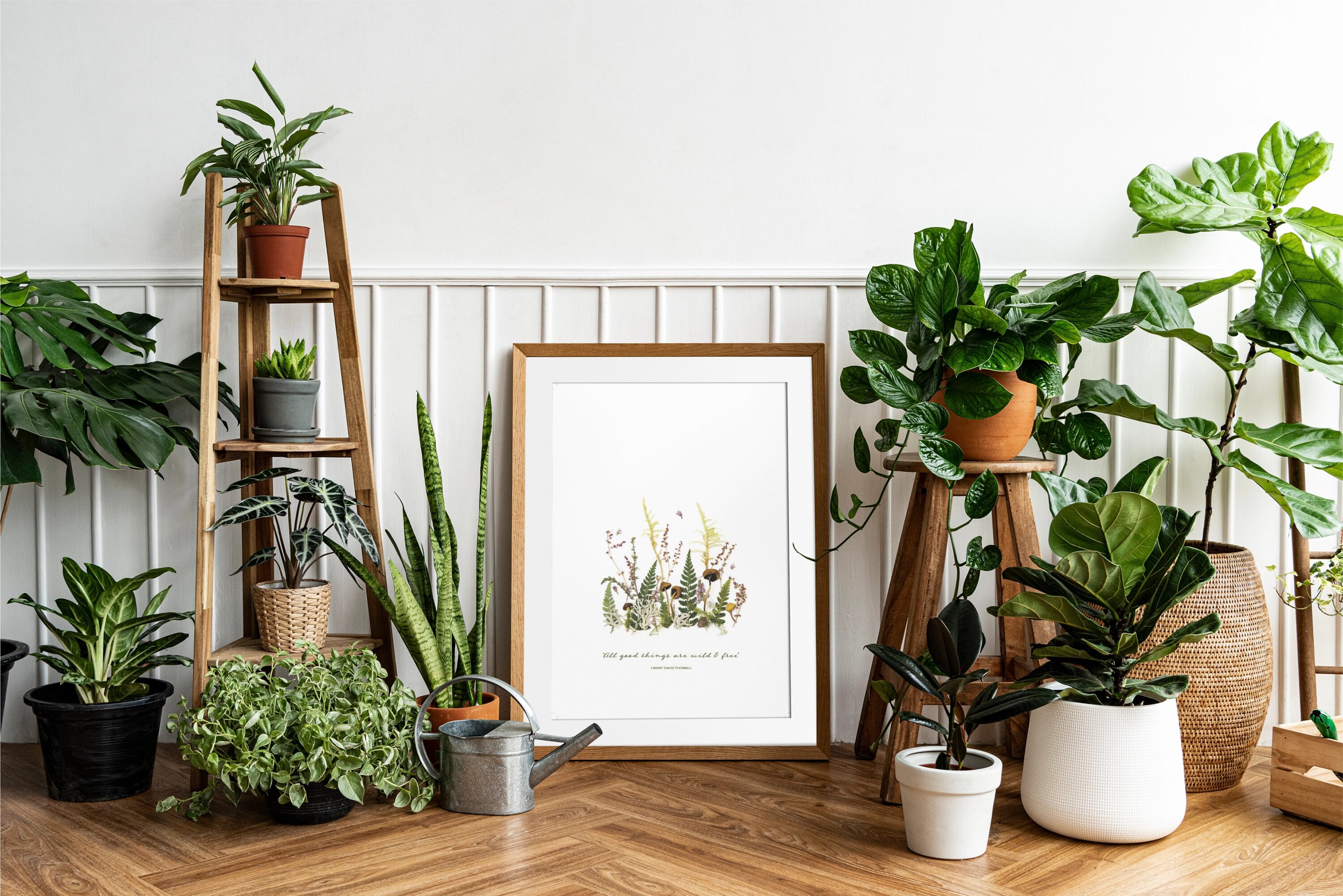 Getrocknete Mushroom Forest Drucke: Botanische Flechte Farn Kunst