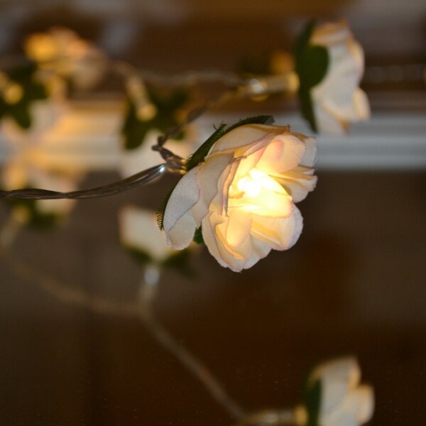 20 Ivory and pink Rose Flower Fairy string warm white LED Lights, bedroom decoration, wedding centerpiece, girl birthday gift