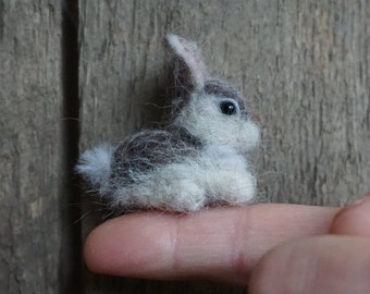micro rabbit