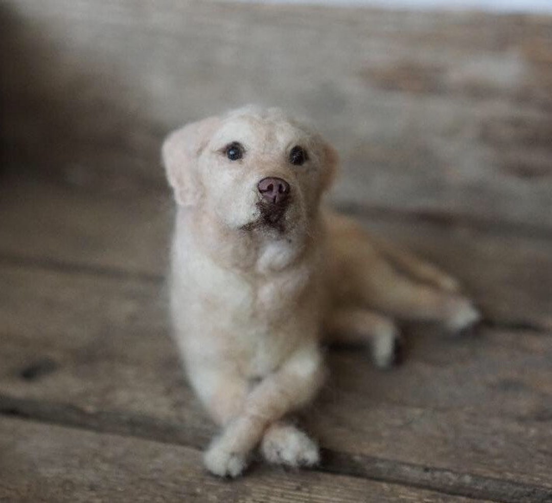 Felted Pets Custom Needle Felted Dog Replica, Pet Loss Gift - Etsy