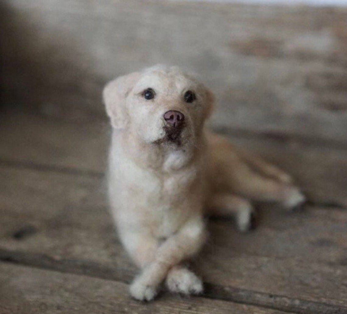 Custom Needle Felted Replica Pet Replica Needle Felted Dog Pet Etsy