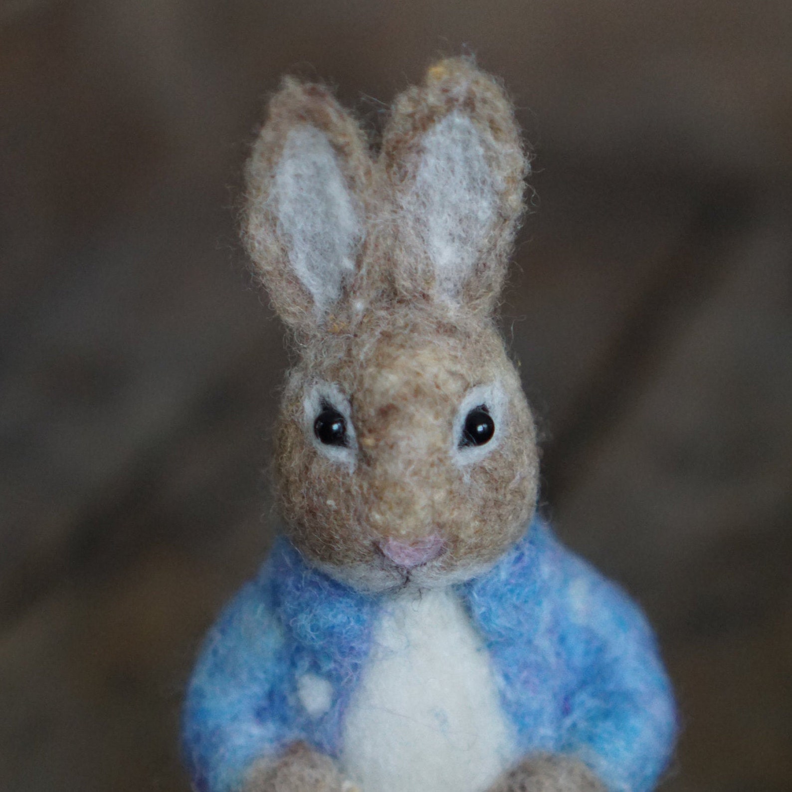 Needle Felted Peter Rabbit Classic Children's Book - Etsy