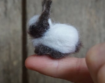 Naaldvilten miniatuurkonijn – bruin en wit micropoppenhuiskonijn