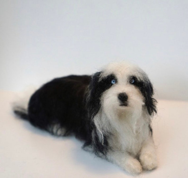 May include: A black and white needle felted dog with blue eyes. The dog is lying down with its head raised and looking directly at the camera.