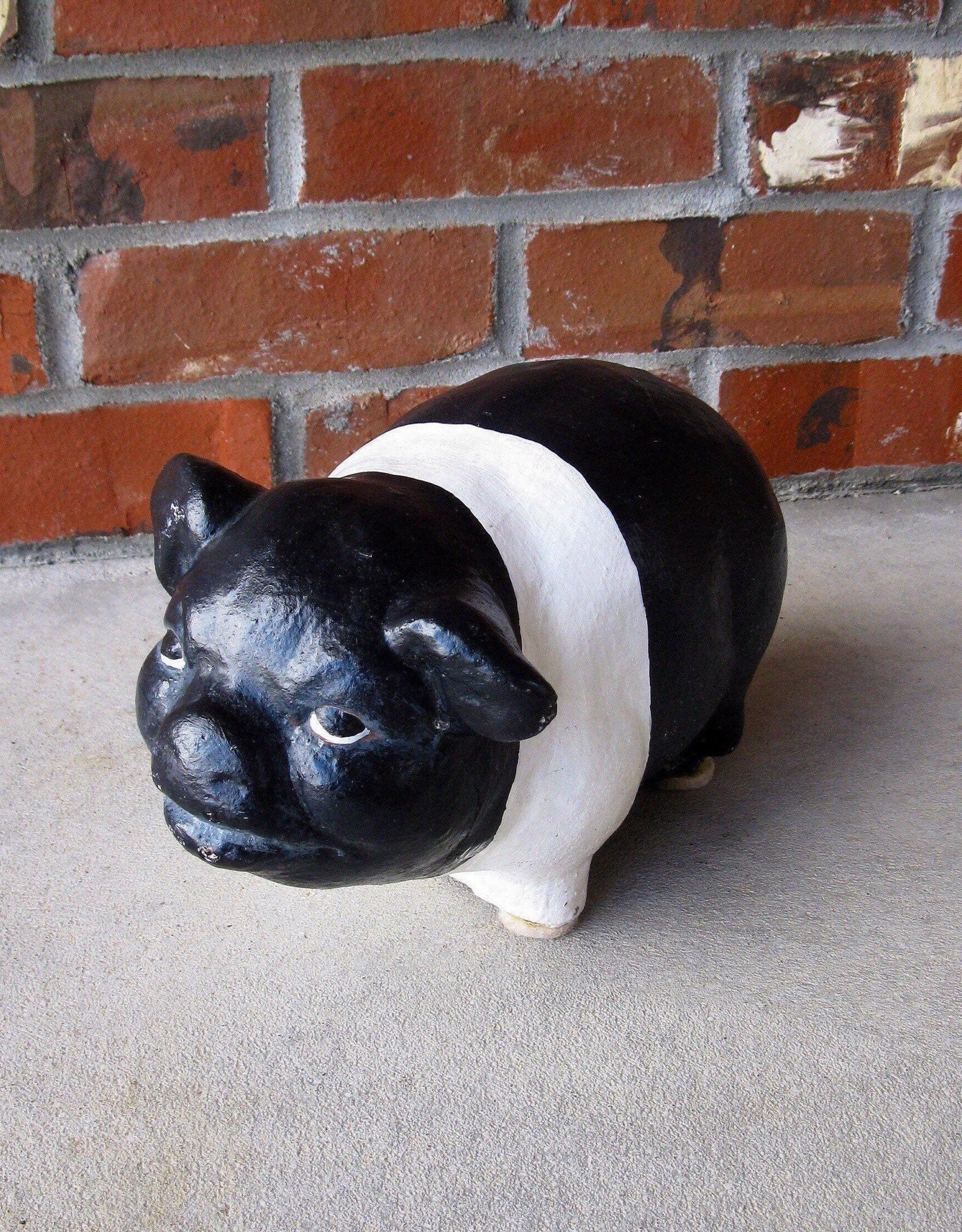 Super Cute CEMENT PIG concrete Hampshire pig statue Etsy