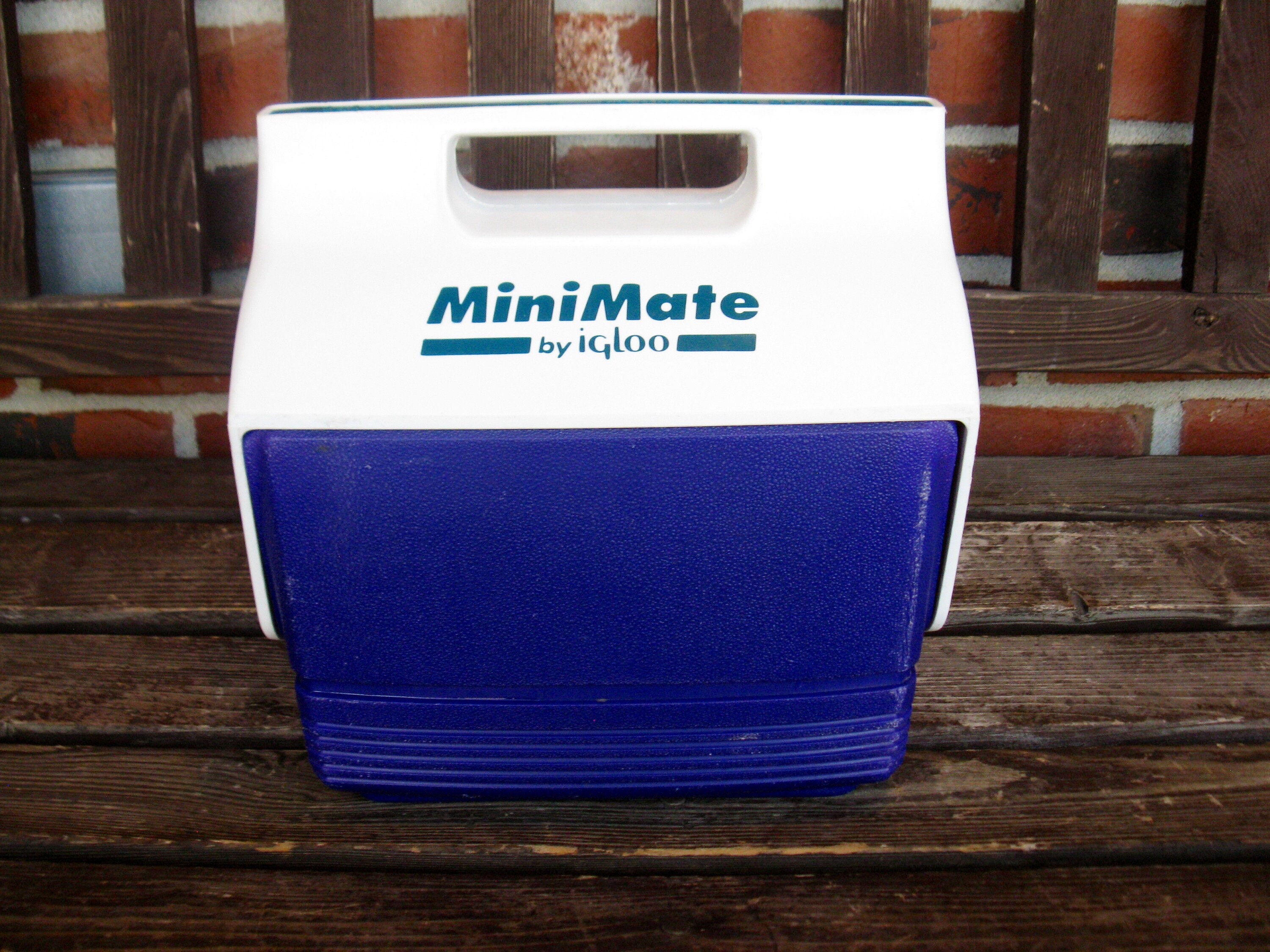 Vintage 1991 MiniMate By Igloo Mini Cooler Lunch Box Made in USA Purple/Pink