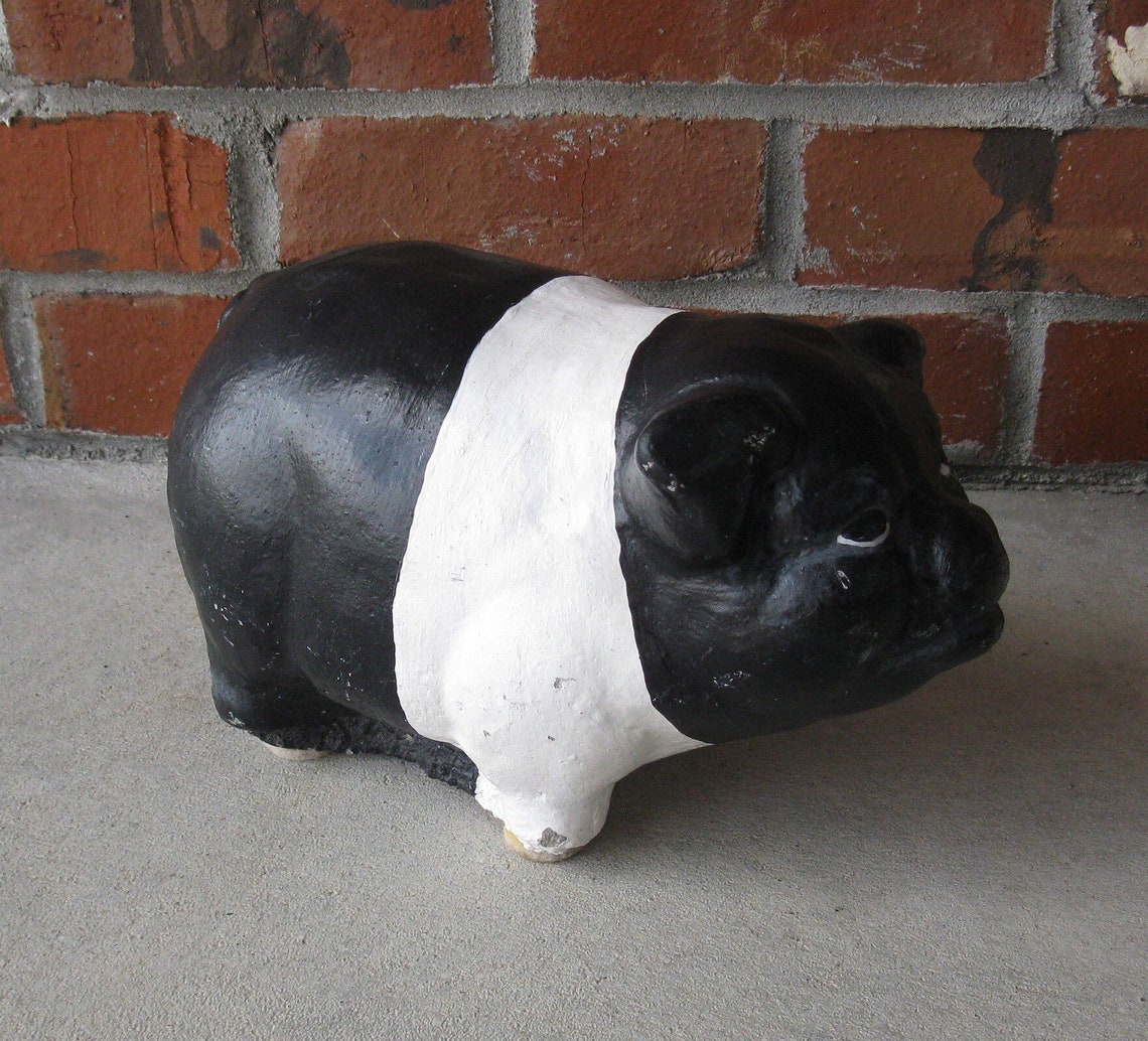Super Cute CEMENT PIG concrete Hampshire pig statue Etsy