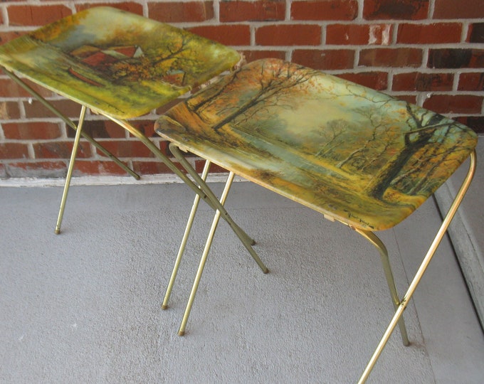 Fiberglass Set of 2 TV Trays Mid Century country Design Folding Tv