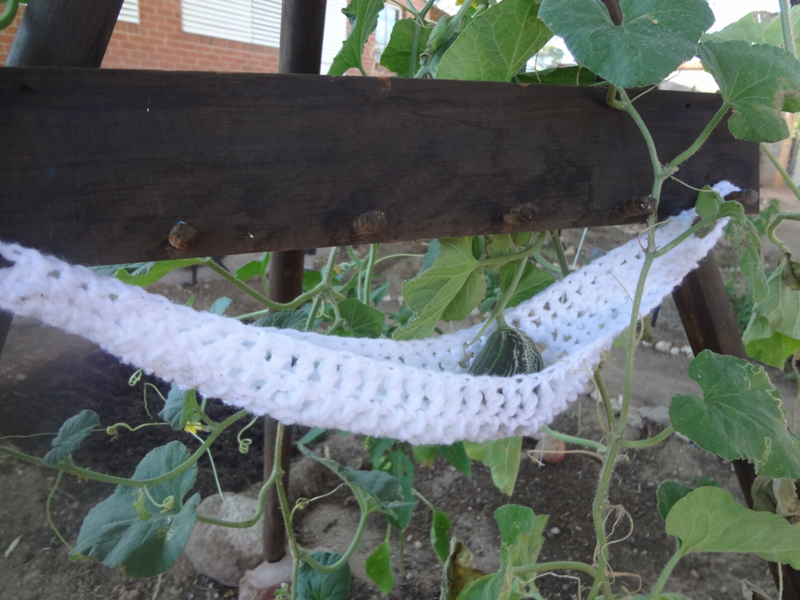 Large Fruits and Veggie Hammock Etsy