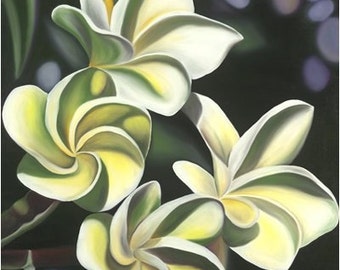 Plumeria Blossoms Limited Edition Giclee