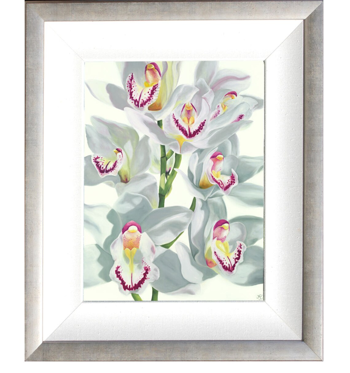 white cymbidium fourth of july