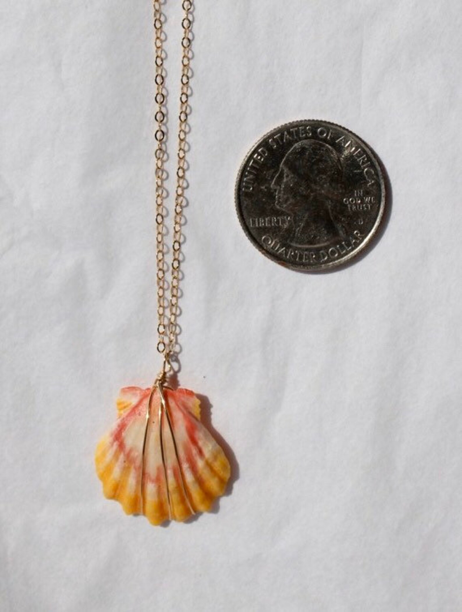 Sunrise shell necklace Etsy