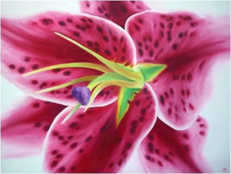 Stargazer Lily Limited Edition Giclee Etsy