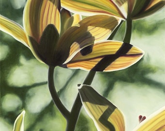 Cymbidium Shadows Limited Edition Giclee