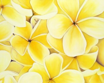 Sunshine Plumeria Limited Edition Giclee