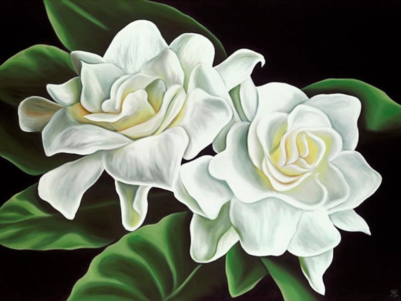 Two Gardenias Limited Edition Giclee Etsy