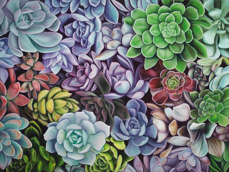 Succulent deals Daydream Limited Edition Giclee