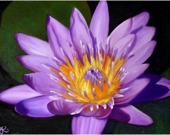 Waterlily Series 2  painting