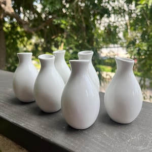 Op de afbeelding: Zes kleine, witte keramische vazen met een druppelvorm. De vazen hebben een gladde, glanzende afwerking en een smalle hals. Ze zijn in een rij gerangschikt op een donkere ondergrond, met een vage groene achtergrond van gebladerte.