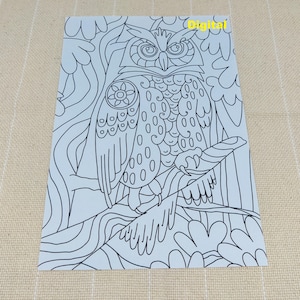 Peut inclure: Un dessin au trait noir et blanc d'un hibou perché sur une branche. Le hibou a de grands yeux et des plumes détaillées. L'arrière-plan est un motif simple de feuilles et de branches.