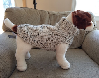 dog black turtleneck