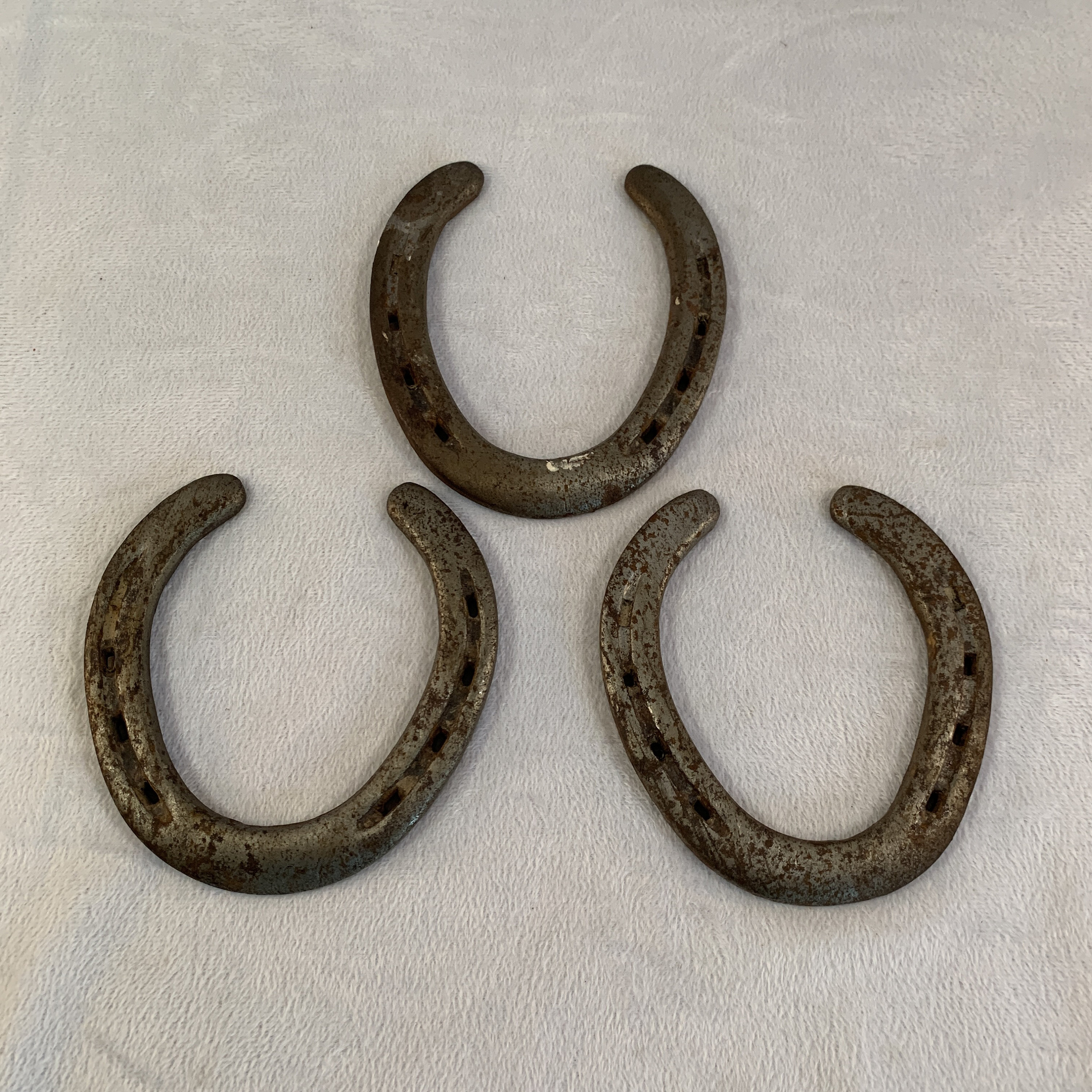 Subculture 　HORSE SHOE GOODLUCK Good Luck Horseshoe | Mystic Moons Books & Brews